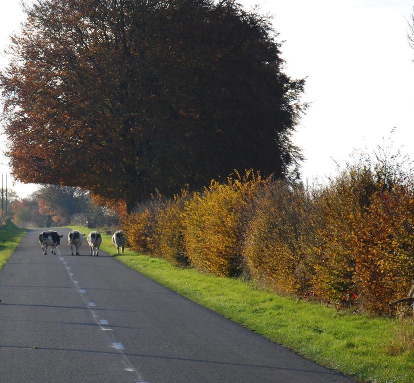 B&B Le Renard Dormant Maissin Exteriér fotografie